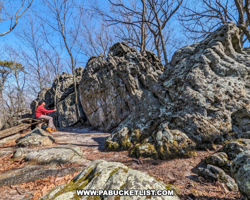 A person in a red jacket sits on a fallen tree, admiring the massive and irregularly shaped boulders near the Three Sisters Rock Formation along the Standing Stone Trail in Huntingdon County, Pennsylvania. The surrounding landscape is a blend of rocky terrain, leafless trees, and clear skies.