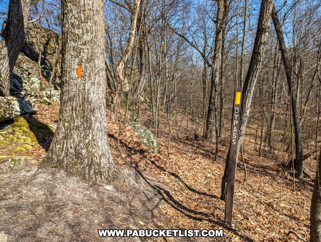 A photo of a wooded area on the Standing Stone Trail near the Three Sisters Rock Formation in Huntingdon County, Pennsylvania, showing a trail marker post with "BYPASS" and a yellow trail blaze. To the left, a tree has an orange blaze painted on it, suggesting the main trail route. The forest floor is covered with brown leaves and the trees are bare, possibly indicating late fall or winter. Boulders with moss can be seen to the left of the frame, and the background reveals a descending landscape with more trees.