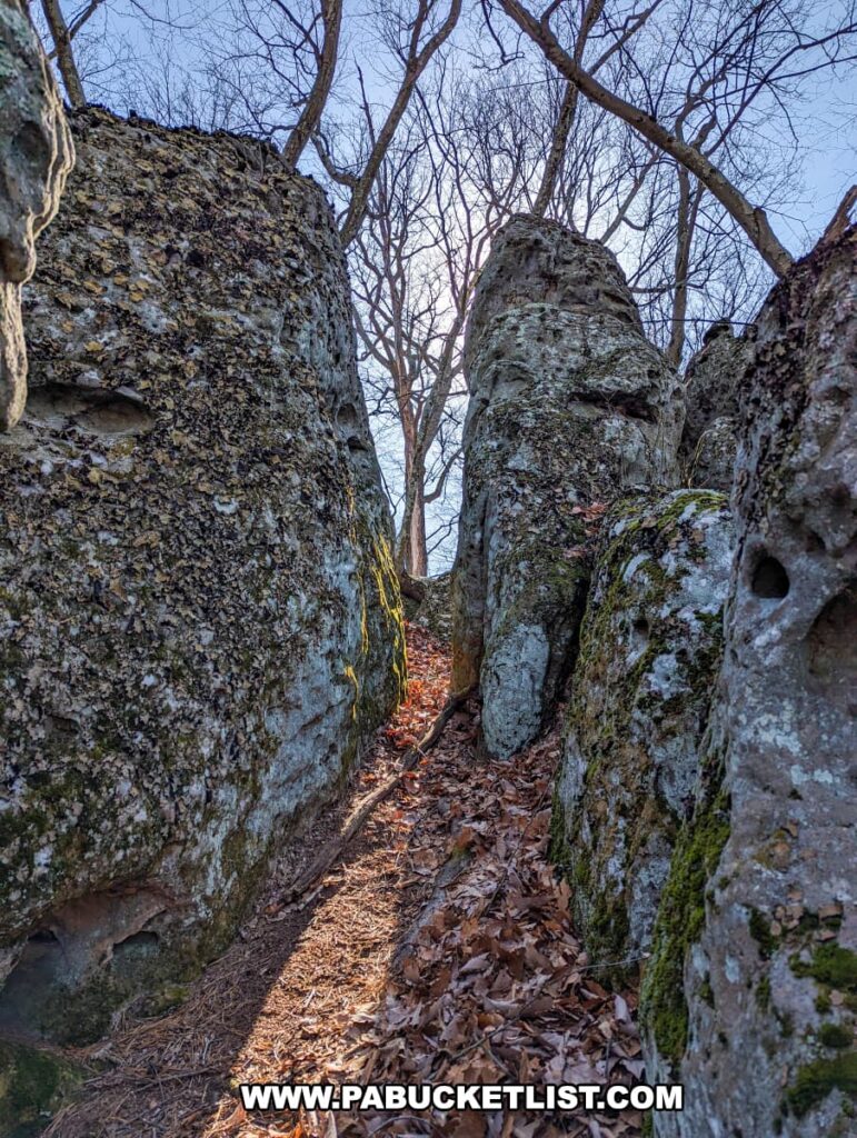 A photo showing a narrow path between two large, lichen-covered rock formations on the Standing Stone Trail near the Three Sisters Rock Formation in Huntingdon County, Pennsylvania. The ground is covered with brown leaves, and bare tree branches can be seen against the sky above the crevice. The rocks are textured and have pockets of erosion, with some moss growth, highlighting their age and exposure to the elements.