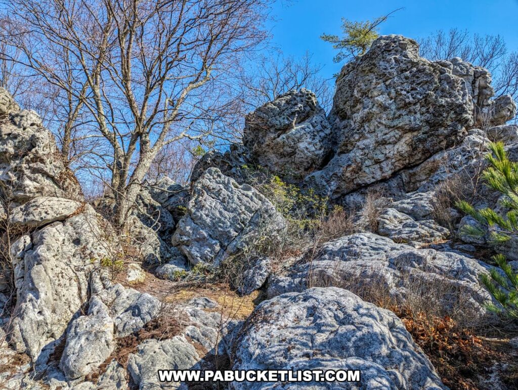 Rugged terrain on the ridge near the Three Sisters Rock Formation with its large, irregularly shaped boulders and rocks along the Standing Stone Trail in Huntingdon County, Pennsylvania, set against a clear blue sky with leafless trees and greenery signaling the transition of seasons.