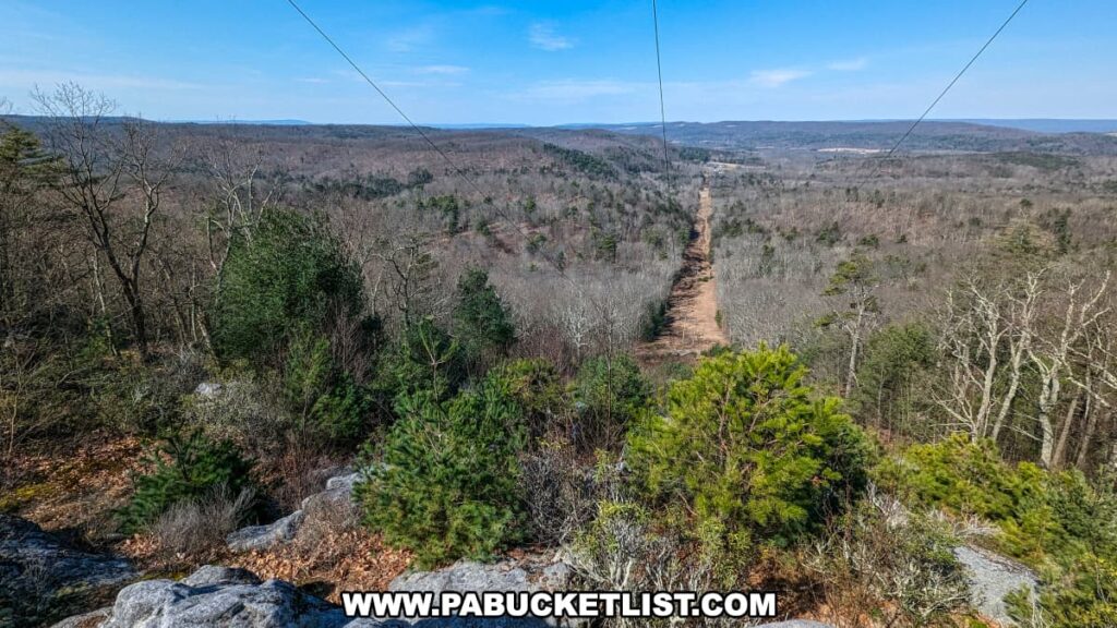 A panoramic view from a power line cutting near the Three Sisters Rock Formation, showing a forested landscape with early signs of spring, leading towards the northwestern horizon with hills in the distance, under a bright and clear sky in Huntingdon County, Pennsylvania.