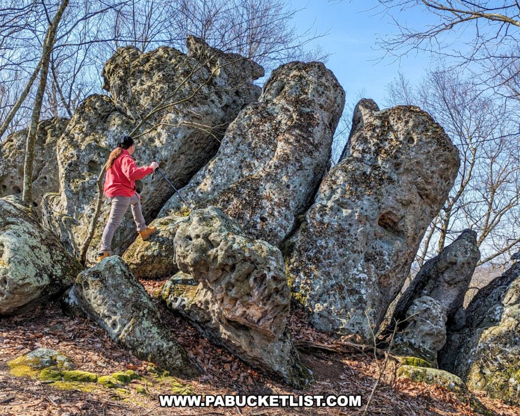 A person in a red jacket is exploring the Three Sisters Rock Formation along the Standing Stone Trail in Huntingdon County, Pennsylvania, standing on a boulder and reaching out to touch one of the massive, lichen-spotted stones under a canopy of bare tree branches against a clear blue sky.