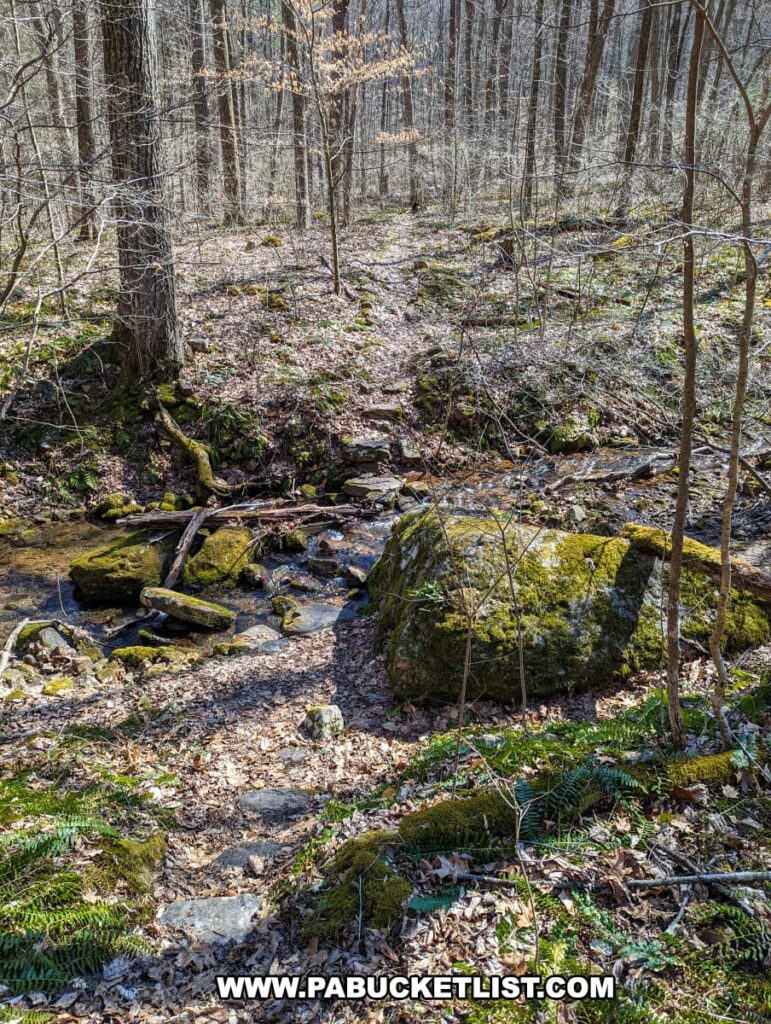 A small forest stream, bordered by moss-covered rocks and early greenery, cuts through a woodland floor covered with brown leaf litter, part of the landscape surrounding the Three Sisters Rock Formation along the Standing Stone Trail in Huntingdon County, Pennsylvania.