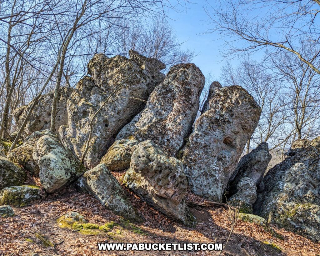 Cluster of tall, weathered rock formations with distinctive holes, part of the Three Sisters along the Standing Stone Trail in Huntingdon County, Pennsylvania. Surrounded by a leaf-strewn ground and framed by leafless trees against a clear sky, showcasing a dynamic and rugged landscape.