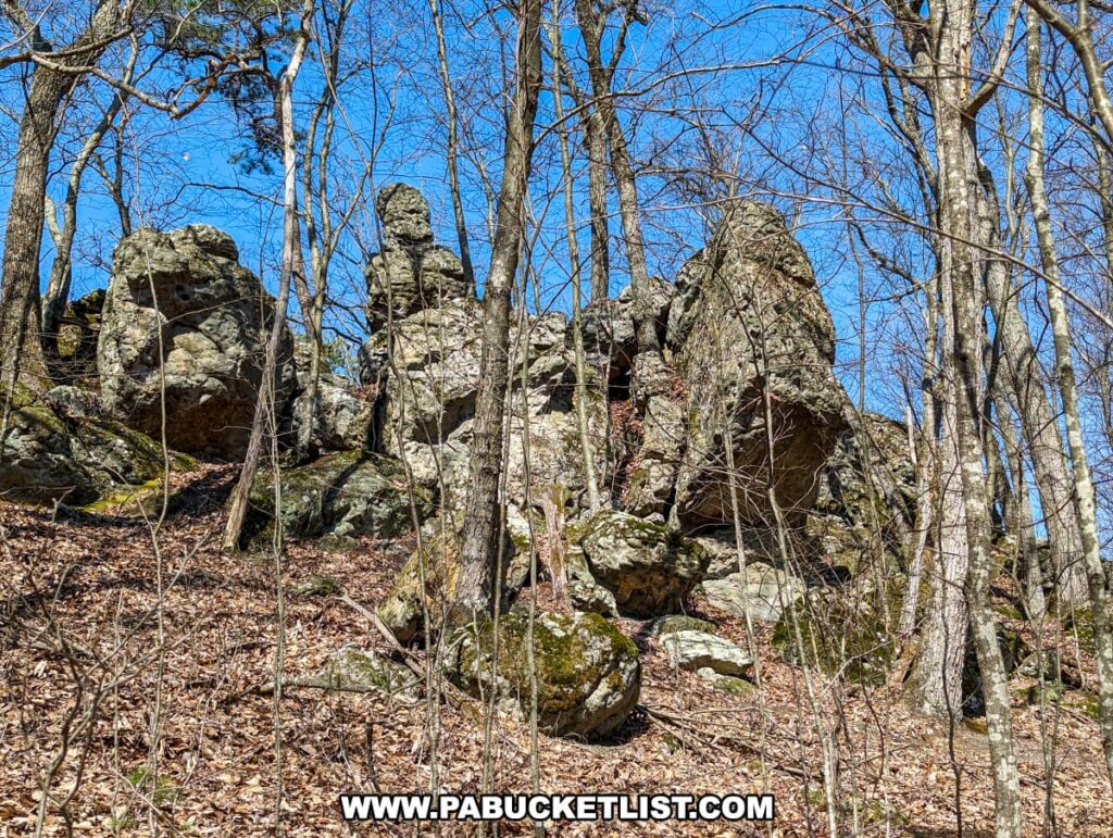 An image showing the a set of vertical, weathered rocks towering amidst a forest with a leaf-covered ground and bare trees, along the Standing Stone Trail in Huntingdon County, Pennsylvania, beneath a clear blue sky.