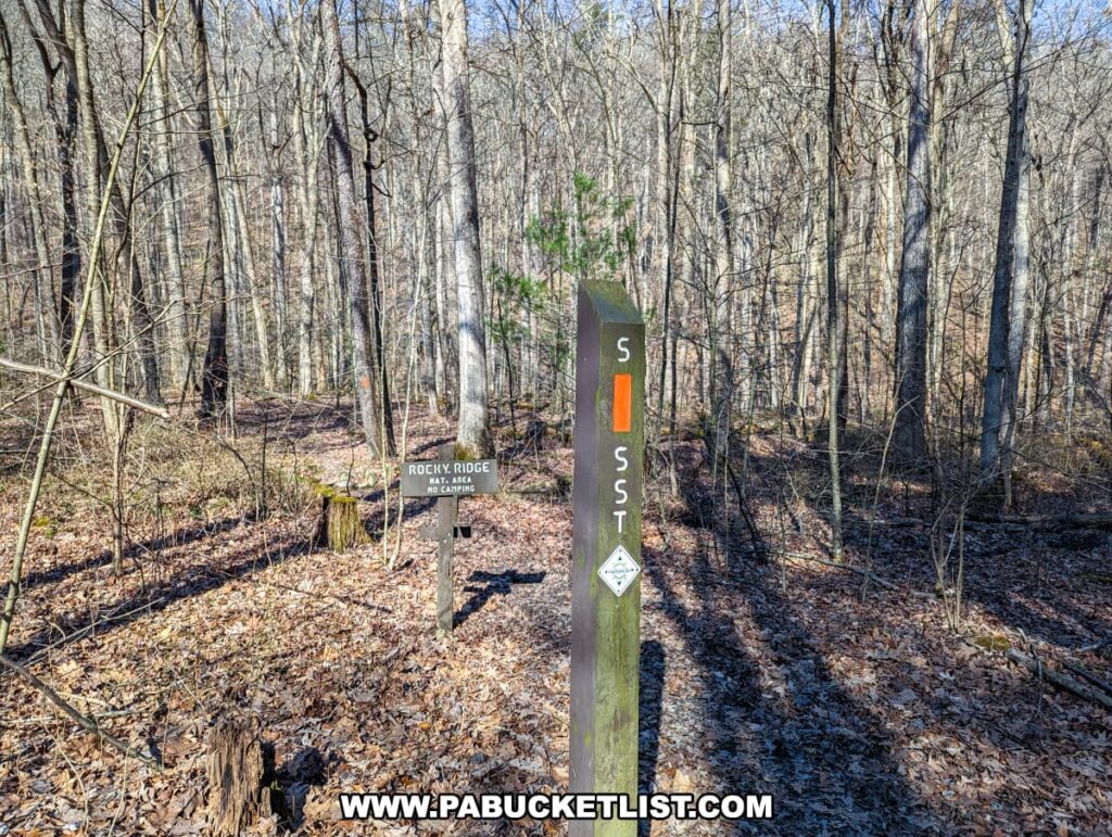 A photo of a trail marker for the Standing Stone Trail surrounded by a leaf-covered forest floor and bare deciduous trees. The trail marker is a wooden post with a bright orange vertical rectangle indicating the trail route, accompanied by a small diamond-shaped sign with the trail's acronym, SST. A sign attached to a nearby tree reads "ROCKY RIDGE NAT. AREA NO CAMPING."