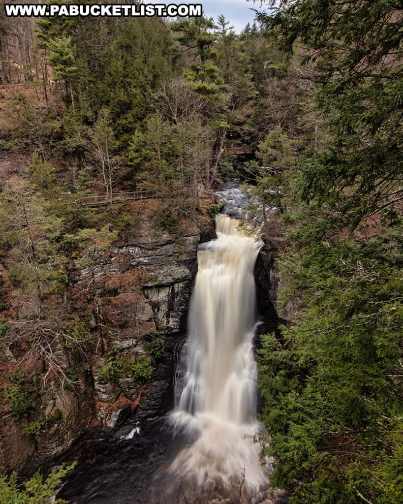 A dramatic aerial view of a high waterfall at Bushkill Falls, located in Pike County, Pennsylvania. This waterfall plummets down a vertical cliff, surrounded by dense pine trees and the emerging foliage of deciduous trees, suggesting the transition from spring to summer. A wooden boardwalk, part of the well-maintained trail system, can be seen hugging the side of the gorge, allowing visitors to safely experience the grandeur of the falls. The water, swollen perhaps by seasonal rains, rushes over the precipice with a brownish-white hue, evidence of its force and the minerals it carries, before crashing into the turbulent pool below. The forest around is a study in contrasts, with the evergreens providing year-round color against the more muted tones of the bare branches.