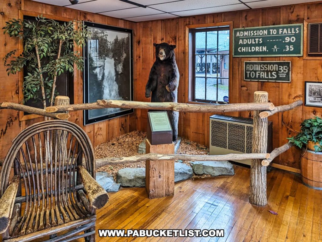 nside the Bushkill Falls museum in Pike County, Pennsylvania, an exhibit offers a glimpse into the local wildlife and history. The rustic interior features wood panel walls and a hardwood floor, contributing to the cabin-like atmosphere. A taxidermied black bear stands on its hind legs beside an informational display, adjacent to a large window with a view of one of the falls. A vintage wooden rocking chair, crafted from branches, sits in the foreground, inviting visitors to relax. Historical pricing signs for admission to the falls are displayed prominently, offering a nostalgic nod to the past of this privately-owned natural park, a treasured part of the Pocono Mountains landscape.