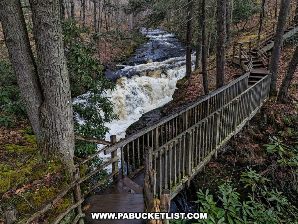 The photo shows a part of the boardwalk at Bushkill Falls in Pike County, Pennsylvania, offering a scenic route along the rushing waters of Pennell Falls. The walkway, edged with wooden railings, clings to the side of the gorge, providing a secure vantage point from which to view the waterfall's power and the surrounding woods. The water foams white as it cascades over rocks, contrasting with the deep greens of rhododendron bushes and the towering trees that line the bank. This natural walkway through the Pocono Mountains highlights the park's commitment to preserving the rugged beauty of the landscape while making it accessible to visitors of all fitness levels.