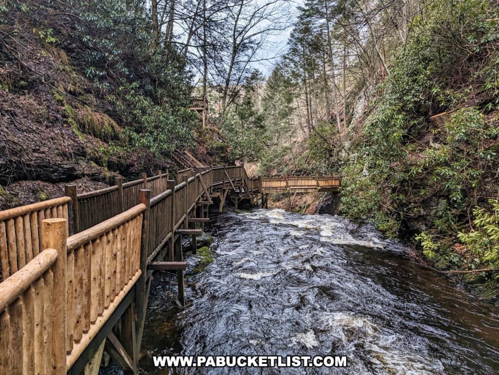 A wooden walkway runs parallel to the rushing waters of a gorge at Bushkill Falls, Pike County, Pennsylvania. The walkway, supported by sturdy beams and with a robust railing for safety, allows visitors to closely observe and appreciate the natural flow and power of the creek below. Flanked by rich, green rhododendron bushes and a backdrop of tall trees, the scene captures the essence of the Pocono Mountains' wilderness. This trail is part of the park's system of boardwalks, designed to provide secure and scenic access to the various natural attractions within the "Niagara of Pennsylvania," while preserving the integrity of the environment.