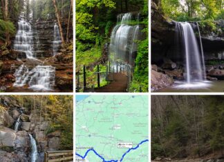 This image is a collage of six photographs, featuring five distinct Buttermilk Falls located across Pennsylvania along with a road map that shows a route connecting these falls. Each photo captures a different waterfall, illustrating varied landscapes and water flows—from multi-tiered cascades to singular, serene drops surrounded by lush foliage. One of the falls is shown with a wooden walkway and railing, suggesting ease of visitor access. The map, placed among the waterfall images, displays a blue line tracing a route across a regional map of Pennsylvania, indicating a scenic drive that links these natural attractions.