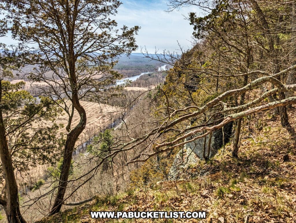 A view from an unnamed vista along the Cliff Trail in Pike County, Pennsylvania, reveals a steep, wooded slope leading down to the Delaware River. The river meanders through the landscape, bordered by wide, open fields that display the earthy tones of early spring. Twisted branches of leafless trees reach into a sky filled with wispy clouds, while evergreens provide a contrast to the dormant deciduous trees. The rugged terrain, marked by rocks and underbrush, offers a glimpse into the wild beauty and dramatic topography of the area, capturing the essence of the natural vistas found along the trail.