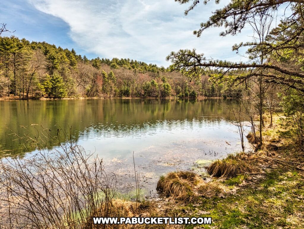 A serene pond surrounded by early spring foliage in Pike County, Pennsylvania, viewed from the Cliff Trail. The clear water reflects the surrounding greenery of pine and leaf-bare deciduous trees under a partly cloudy sky. Fresh green grass lines the water's edge, interspersed with tufts of brown reeds, highlighting the transition from winter to spring. The scene is peaceful, with the stillness of the pond suggesting a quiet spot for reflection away from the bustling river overlooks.