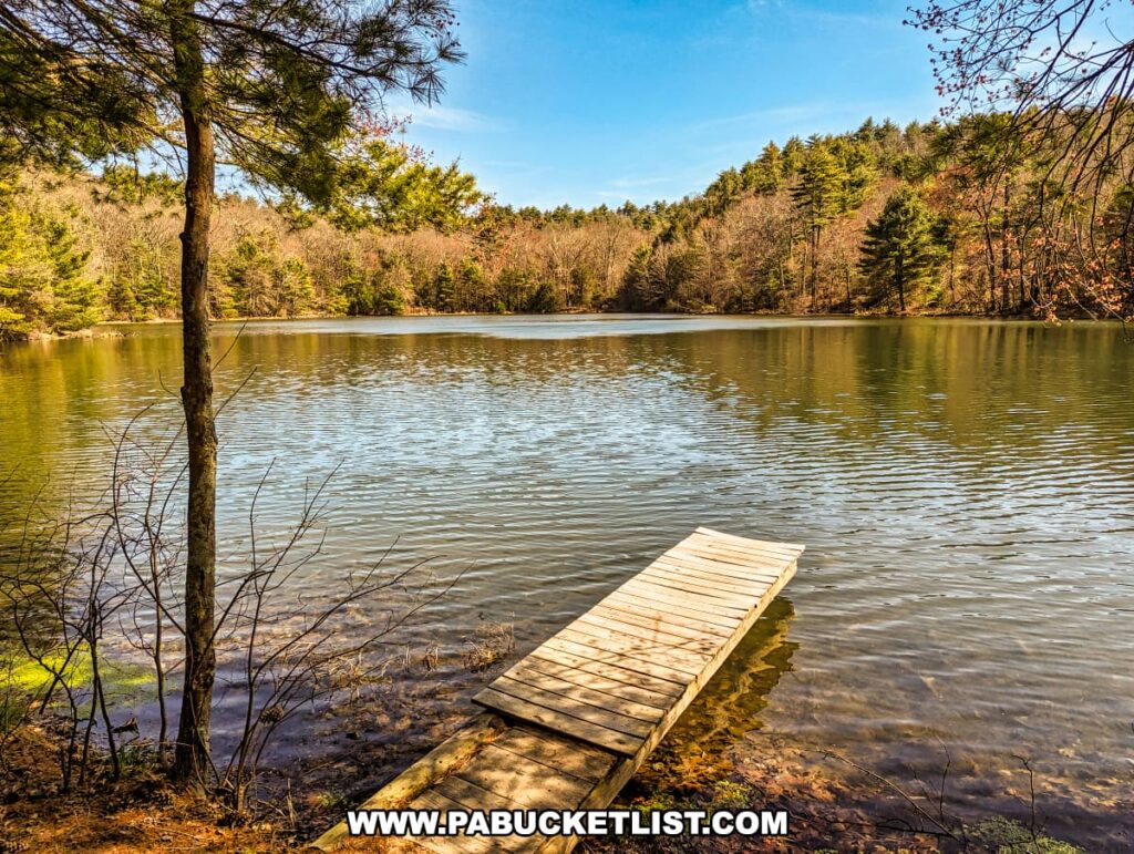 A peaceful pond nestled in a forest setting along the Cliff Trail in Pike County, Pennsylvania, with a small wooden dock reaching out into the water. Tall pines and leaf-bearing trees, some still bare from winter, line the shore, reflecting lightly on the water's surface. The pond is surrounded by the awakening hues of early spring, with sunlight filtering through the trees, casting a warm glow and enhancing the tranquility of the scene. The stillness of the water and the quiet beauty of the surrounding woods evoke a sense of solitude and connection with nature.