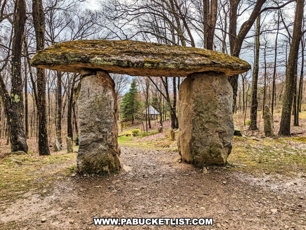 The photo features a view from within Columcille Megalith Park, focusing on a large, horizontal stone slab supported by two vertical megaliths, creating a portal-like structure amidst the woodland. The stone surface is covered with moss and lichen, indicating its age and exposure to the elements. Through the stone portal, one can see the forested park landscape with additional standing stones in the distance, giving the sense of a journey back in time to an era of ancient megaliths.