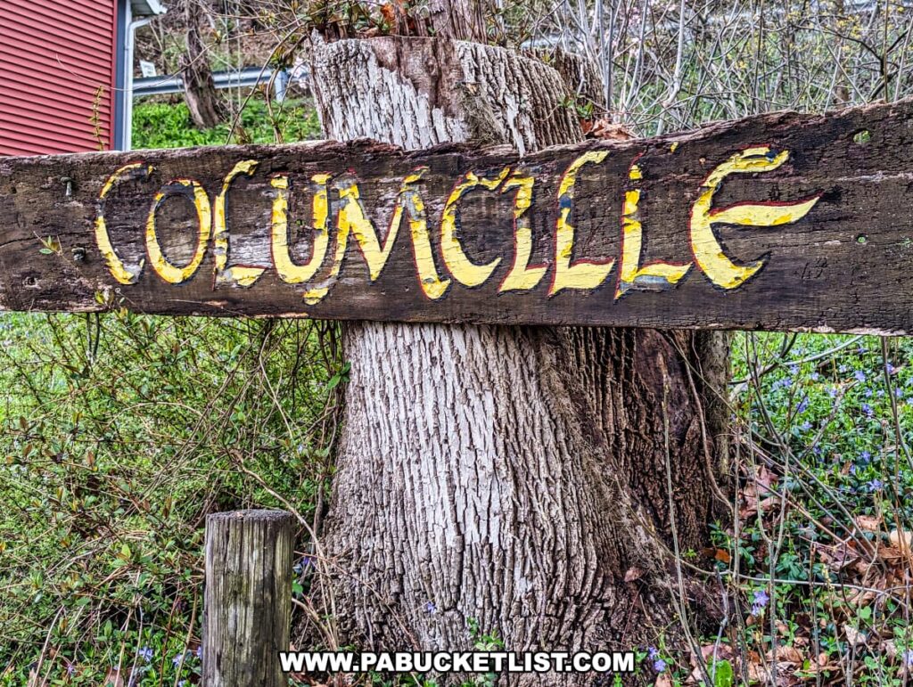The image shows a weathered wooden sign with the word "COLUMCILLE" painted in yellow with red outlines, nailed to a tree trunk. The sign exhibits a rustic charm, indicative of the natural and historical ambiance of Columcille Megalith Park. The background is filled with foliage and hints of a residential structure, blending the park's cultural significance with its present-day surroundings.