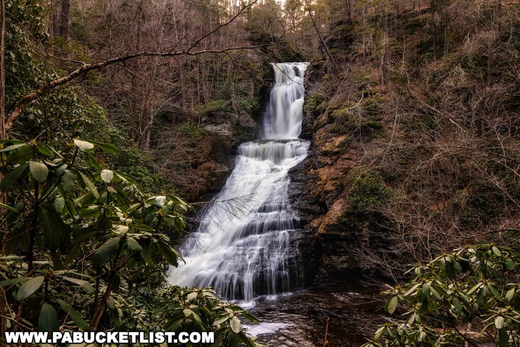This image captures Dingmans Falls from a vantage point amidst the surrounding foliage in Pike County, Pennsylvania. The falls flow in a multi-tiered cascade through a narrow channel, carved into a hillside covered in the leafless trees of early spring. Rhododendron bushes with their broad, dark green leaves and white blossoms are in the foreground, adding a touch of life to the otherwise dormant landscape. The smooth, white streams of the waterfall stand out against the rugged brown and green textures of the rock and plant life, creating a serene and natural spectacle. The calm water at the bottom suggests a peaceful pool before the river continues on its journey.