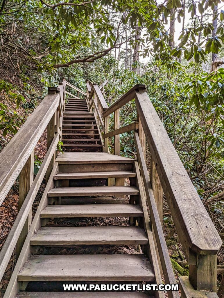 A well-worn wooden staircase leads upwards, nestled within the verdant foliage of Dingmans Falls in Pike County, Pennsylvania. The sturdy handrails on either side guide visitors along the ascent. Broadleaf plants with their large green leaves crowd the edges of the stairs, while a variety of trees can be seen in the background, creating a canopy of leaves overhead. The steps are covered with fallen leaves and forest debris, hinting at the natural and less-traveled path. This stairway invites visitors to explore further and promises a rewarding view at the top.