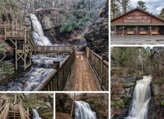 A collage of five images encapsulates the diverse experiences at Bushkill Falls, Pike County, Pennsylvania. The top left image displays a robust observation deck overlooking a cascading waterfall. Adjacent to it on the right, the park's entrance building welcomes visitors with a large "Welcome to Bushkill Falls" sign. Below, a wooden walkway stretches over rushing waters, leading visitors through the tranquil environment. The bottom left shows a set of wooden stairs winding through the forest, offering a rustic path for exploration. Finally, a visitor in red, centered in the bottom right, photographs one of the park’s majestic waterfalls, highlighting the picturesque beauty and recreational opportunities available in this section of the Pocono Mountains, all embraced by the park's well-crafted wooden structures.