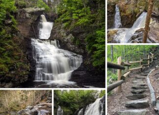 A collection of five images showcasing Raymondskill Falls in Pike County, Pennsylvania. Top left: A dynamic view of the waterfall with water streaming over a rocky cliff into a serene pool. Top right: A separate section of the falls where water splits into two paths amid dense trees. Bottom left: The rocky creek bed upstream, dotted with large stones and autumn leaves. Bottom center: A downward angle on the falls, highlighting the cascading water and mist. Bottom right: The hiking trail leading to the falls with rough-hewn stone steps and a wooden handrail, bordered by leaf-strewn ground and forest greenery.
