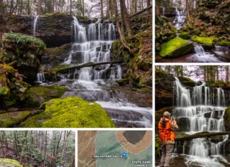 A collage of five images showcasing the scenic Salvatore Falls in State Game Lands 91, Luzerne County, Pennsylvania. The images display different perspectives of the waterfall's cascading waters over moss-covered rocks, an observer in a high-visibility orange vest taking a photo of the falls, and the lush forested environment surrounding the area. The bottom of the collage features a satellite map indicating the location of Salvatore Falls and the nearby parking area along Bald Mountain Road, providing context for the natural beauty captured in the photographs.