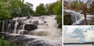This collage showcases five distinct perspectives of Shohola Falls and its surroundings in Pike County, Pennsylvania. The top left photo captures the falls from a distance, emphasizing their width and the surrounding greenery. The top right image offers a view through a tree’s branches, highlighting the falls' vertical drop. The middle image is a close-up that blurs the rushing water, conveying its movement. The bottom left shows a tree with intricate roots beside the waterfall, illustrating the interplay between flora and water. Lastly, the bottom right photo features a wooden observation deck extending toward a lake, providing a peaceful vantage point against a backdrop of overcast skies. Each photo collectively portrays the diverse beauty of the falls and the serene landscape.