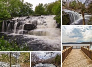 This collage showcases five distinct perspectives of Shohola Falls and its surroundings in Pike County, Pennsylvania. The top left photo captures the falls from a distance, emphasizing their width and the surrounding greenery. The top right image offers a view through a tree’s branches, highlighting the falls' vertical drop. The middle image is a close-up that blurs the rushing water, conveying its movement. The bottom left shows a tree with intricate roots beside the waterfall, illustrating the interplay between flora and water. Lastly, the bottom right photo features a wooden observation deck extending toward a lake, providing a peaceful vantage point against a backdrop of overcast skies. Each photo collectively portrays the diverse beauty of the falls and the serene landscape.