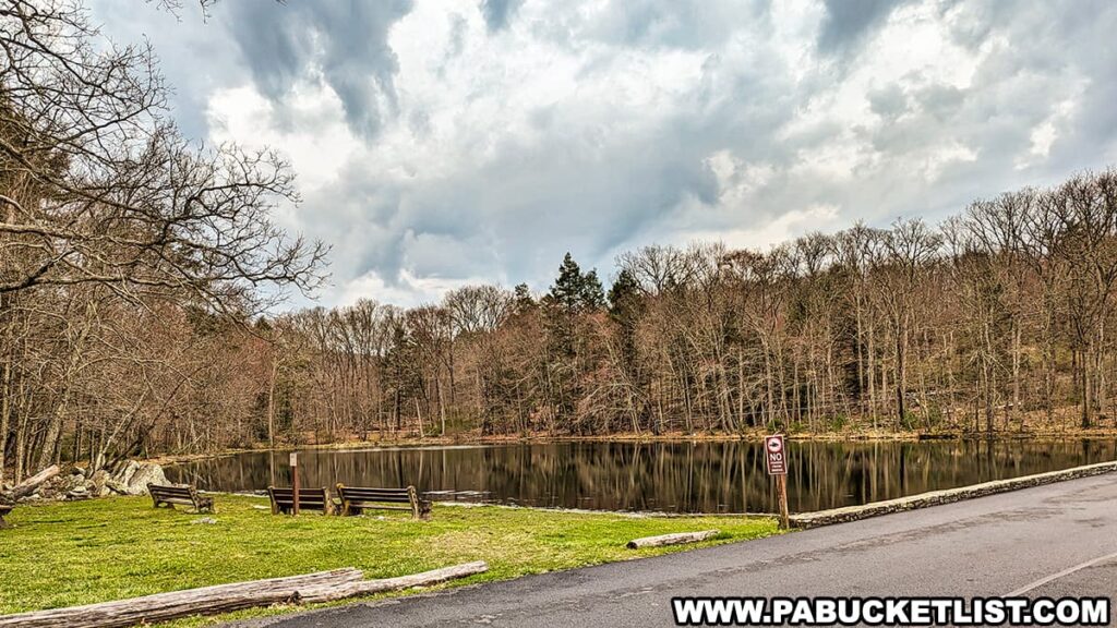 A peaceful fishing pond at Bushkill Falls in Pike County, Pennsylvania, reflects the surrounding landscape of leafless trees and evergreens. The calm water mirrors the overcast sky, while wooden benches along the grassy shore invite visitors to relax and enjoy the tranquility of the area.