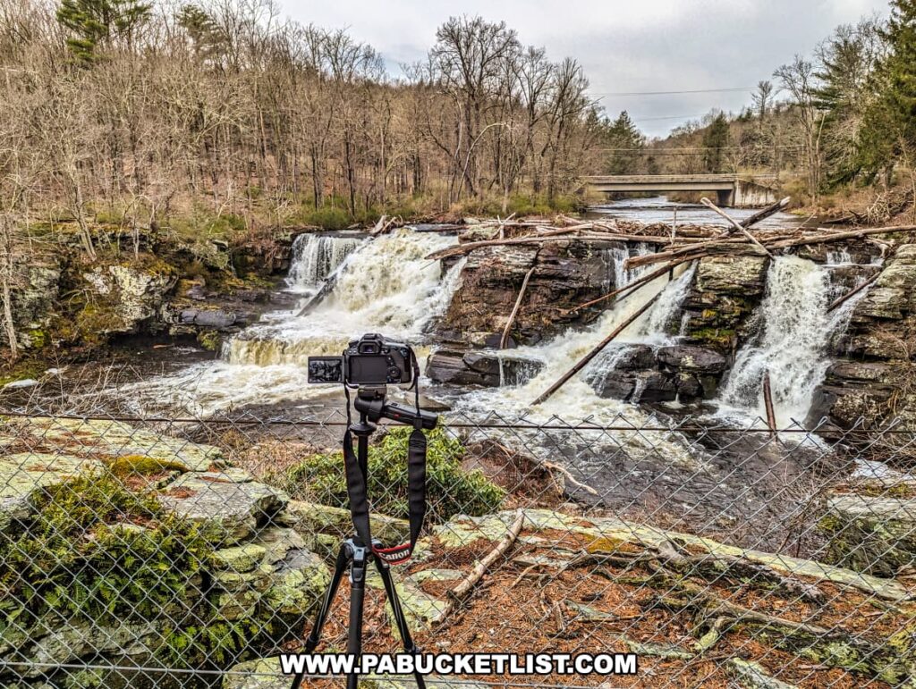 A camera on a tripod is set up in the foreground, ready to capture the scenic beauty of Resica Falls in Monroe County, Pennsylvania. The camera overlooks a lively cascade of water rushing over layered, rocky ledges. A mesh of fallen trees crisscrosses the upper part of the falls, while the rushing water below creates a frothy white contrast against the dark rocks. In the background, the landscape opens to a serene river flanked by bare trees with a simple bridge spanning the water further upstream, nestled within the natural setting of the Resica Falls Scout Reservation.