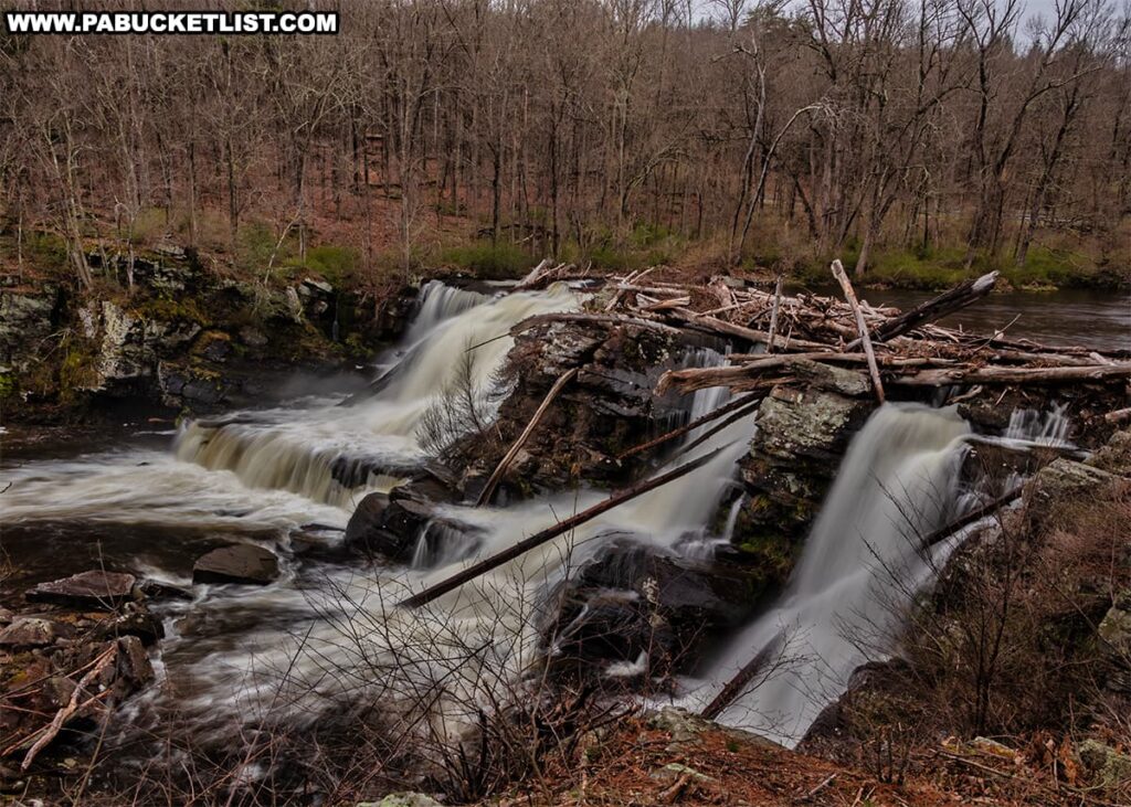 A dynamic view of Resica Falls in Monroe County, Pennsylvania, captures the cascading waters splitting into various streams as they rush over a series of rocky ledges. A chaotic arrangement of fallen timber spans the width of the falls, testament to the natural forces at play. The surrounding landscape is a quiet display of early spring, with leafless trees and a few evergreens dotting the forested area around the falls, part of the Resica Falls Scout Reservation. The overcast sky adds a moody ambiance to this serene natural spectacle.