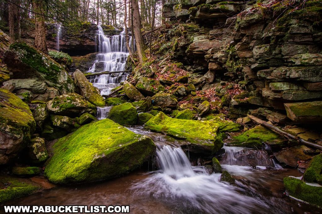 This image captures the serene beauty of Salvatore Falls on State Game Lands 91 in Luzerne County, Pennsylvania. The waterfall spills gracefully over a cliff and cascades down a series of rocky tiers. Lush, vivid green moss blankets the boulders, contrasting with the brown leaf litter of the forest floor. The forest around the falls is dense, with the bare branches of trees indicating a cooler season. The water's smooth appearance, a result of the camera's long exposure, adds a magical quality to this tranquil woodland scene.