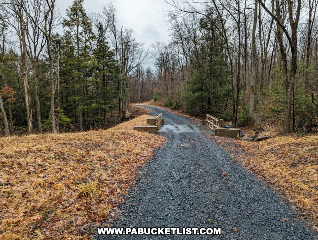 A curving gravel pathway leads to a small bridge within Salvatore Falls on State Game Lands 91 in Luzerne County, Pennsylvania. The landscape on either side of the path is a mix of evergreen and leafless deciduous trees, indicating a seasonal transition. The overcast sky suggests it might be a chilly and damp day. The bridge crosses over a stream, which is not visible from this vantage point, and is flanked by wooden barriers with a mix of dormant grasses and fallen leaves lining the ground.