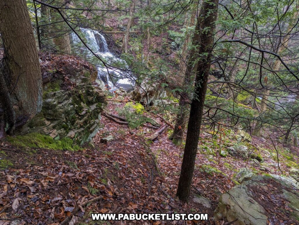 A secluded view of Salvatore Falls through the dense woodland of State Game Lands 91 in Luzerne County, Pennsylvania. A partially obscured waterfall cascades in the background, framed by trees and fallen autumn leaves. The terrain is rugged and mossy, with rocks and foliage creating a rich tapestry of natural textures. The overcast sky suggests a cool, damp climate, typical of a forested area in the midst of seasonal change.