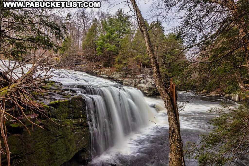 The image provides a trailside view of Shohola Falls in Pike County, Pennsylvania, where the falls make a dramatic drop over a moss-covered rocky cliff. The falls are framed by the winter-bare branches of deciduous trees and the dark greens of evergreens, indicating the season is likely late fall or early spring. A broken tree trunk in the foreground adds a rugged character to the scene. The water appears in motion, with a misty, blurred effect that suggests the power and movement of the cascade. Overhead, the sky is a patchwork of clouds and light, casting a natural, diffuse light over the landscape.