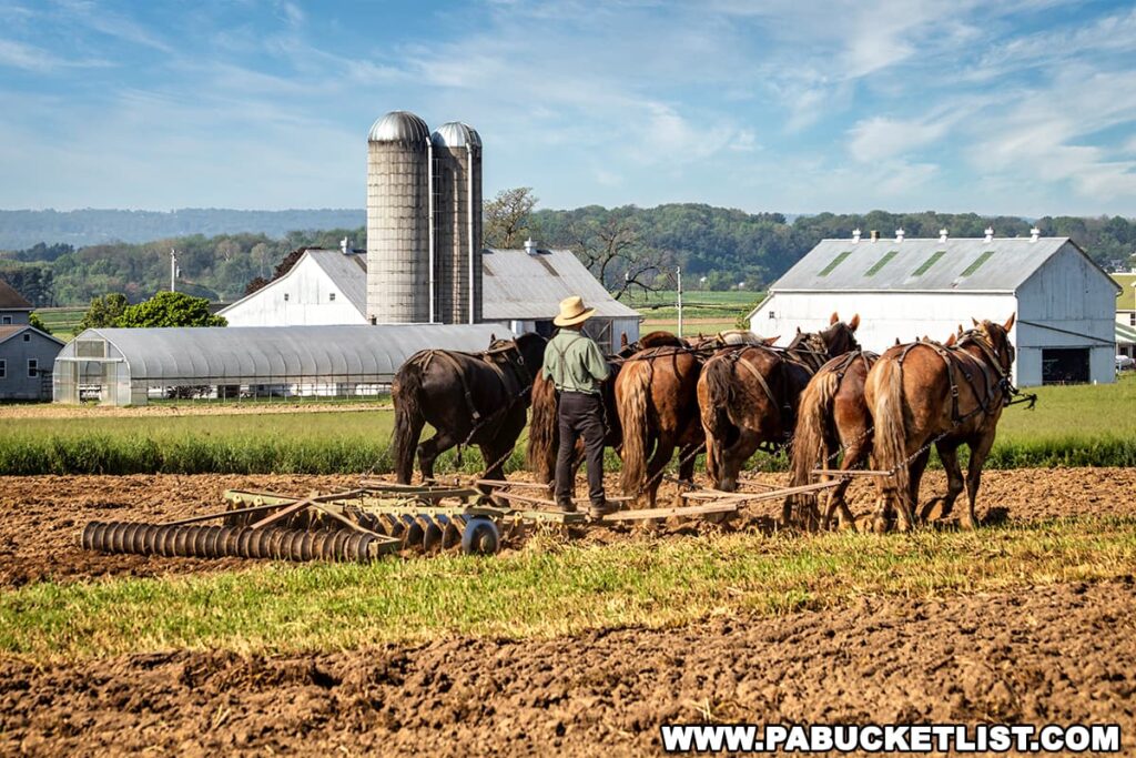 An Amish farmer, dressed in traditional attire with a straw hat, is working the fields with a team of six horses pulling a plow. In the background, there are several large, white barns, a greenhouse, and two silos, all set against a backdrop of rolling hills and a clear, blue sky. The scene is typical of the rural landscape near Intercourse in Lancaster County, PA.