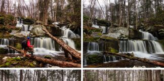 Collage of four images featuring a hiker at Sawkill and Savantine Falls in the Delaware State Forest, Pike County, Pennsylvania. The images depict the hiker at various viewpoints of the cascading waterfalls. The top left and right photos show him observing the falls from different angles, with the water spilling over rocky terraces amidst a forest setting. The bottom left photo captures the hiker in front of a broad, flowing curtain of water, and the bottom right shows him from behind, looking out at a wide, multi-tiered waterfall. Each scene is framed by the rugged beauty of the forest, showcasing the tranquil and picturesque environment of these waterfalls.