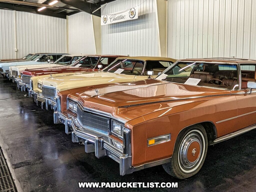 A lineup of 1970s Cadillacs on display at the Greenberg Cadillac Museum in Jefferson County, PA. The collection features various models with colors ranging from brown and beige to white and red. Each vehicle is meticulously preserved, showcasing the distinctive design and luxurious details characteristic of Cadillacs from this era. The cars are arranged in a spacious, well-lit area with a Cadillac banner in the background, highlighting the museum's dedication to maintaining the legacy of these classic automobiles.