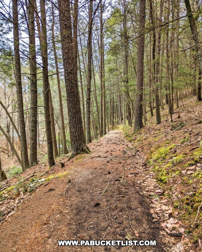 Exploring Hackers Falls in Pike County - PA Bucket List