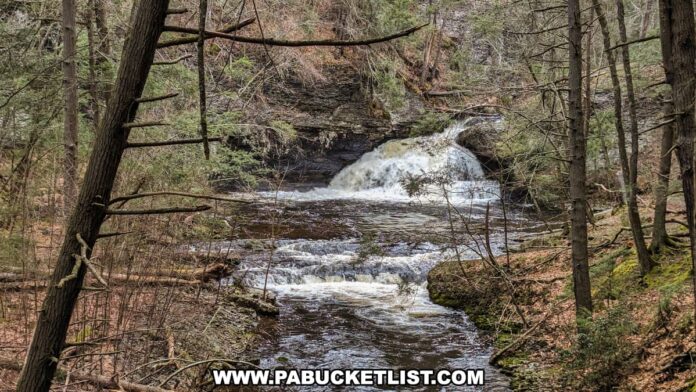 Exploring Hackers Falls in Pike County - PA Bucket List