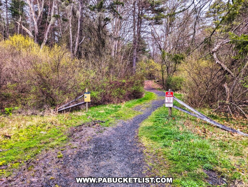 A view of the trailhead at Hackers Falls in Pike County, Pennsylvania, featuring a gravel path leading into a densely wooded area. Signs marking the trail and parking regulations are visible at the entrance. The path is bordered by lush greenery and shrubs, creating a welcoming starting point for hikers. The surrounding vegetation is vibrant and varied, adding to the natural beauty of the scene.