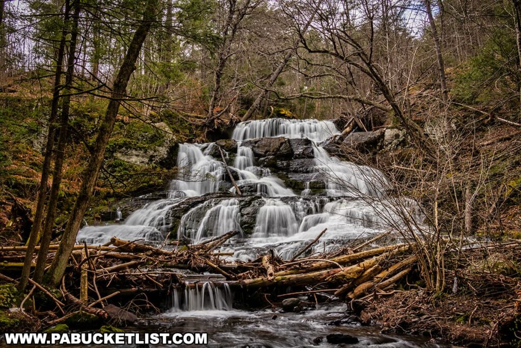 A beautiful view of Upper Indian Ladders Falls in Pike County, Pennsylvania, featuring water gracefully cascading down a series of rocky tiers. The waterfall is surrounded by a dense forest with tall trees and a mix of green foliage and bare branches. The scene is enhanced by scattered fallen branches and logs, contributing to the natural and untouched appearance of the area. The image captures the peaceful and scenic ambiance of the waterfall along Upper Hornbecks Creek.
