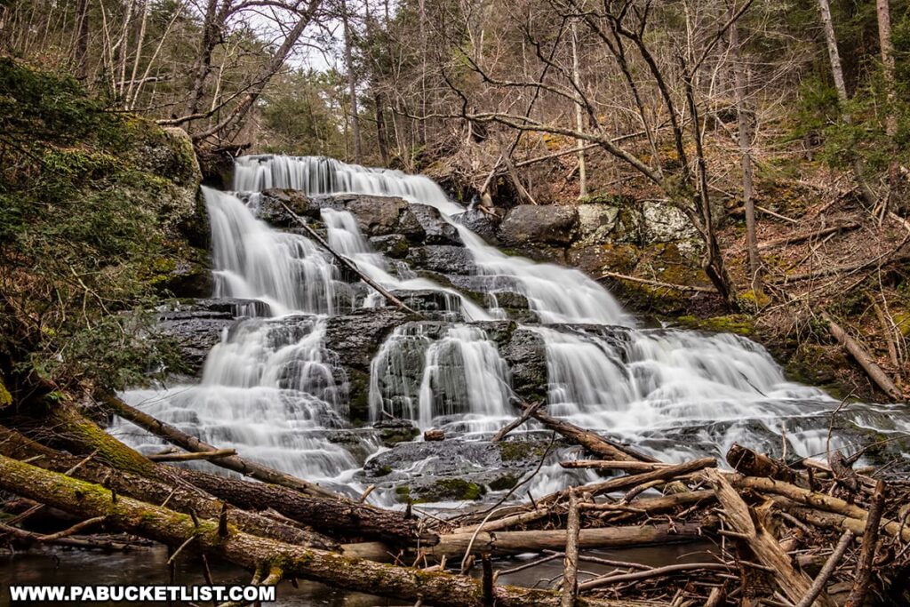 A picturesque view of Upper Indian Ladders Falls in Pike County, Pennsylvania, with water cascading over a series of rocky steps. The waterfall is nestled within a dense forest, featuring a mix of evergreen and deciduous trees. Fallen branches and logs are scattered around the base of the falls, adding to the natural and rugged beauty of the scene. The tranquil and serene atmosphere of the waterfall along Upper Hornbecks Creek is beautifully captured in this image.