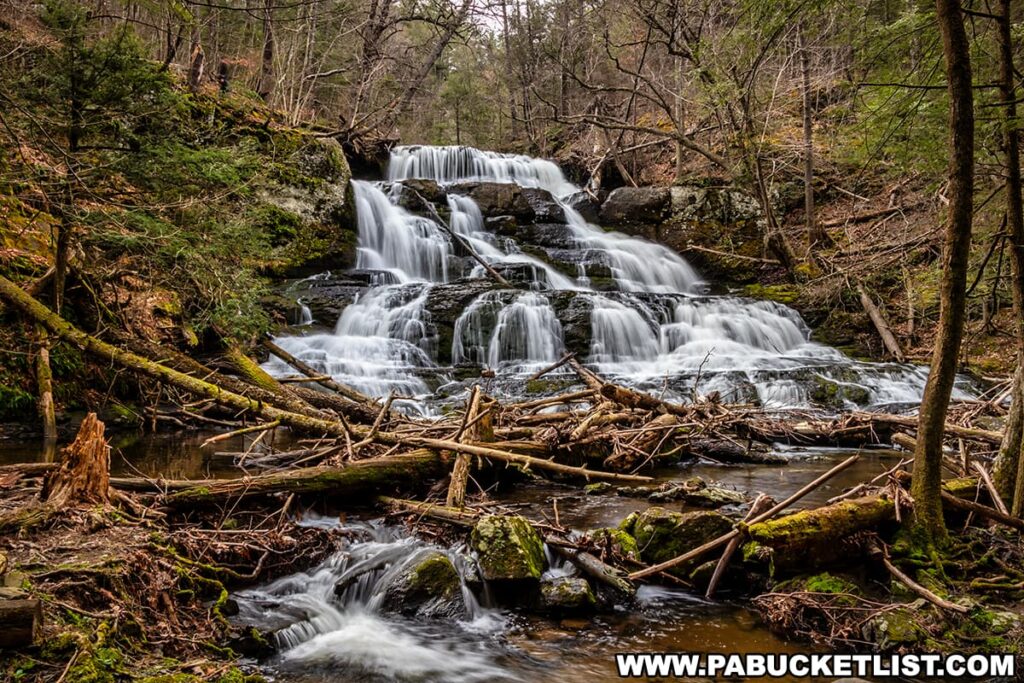 A stunning view of Upper Indian Ladders Falls in Pike County, Pennsylvania, featuring water cascading over multiple rocky steps. The waterfall is surrounded by a forest with a mix of evergreen and deciduous trees. The scene includes fallen logs and branches scattered around the base of the falls, enhancing the natural and untamed beauty of the area. The peaceful and serene atmosphere of the waterfall along Upper Hornbecks Creek is beautifully captured in this image.