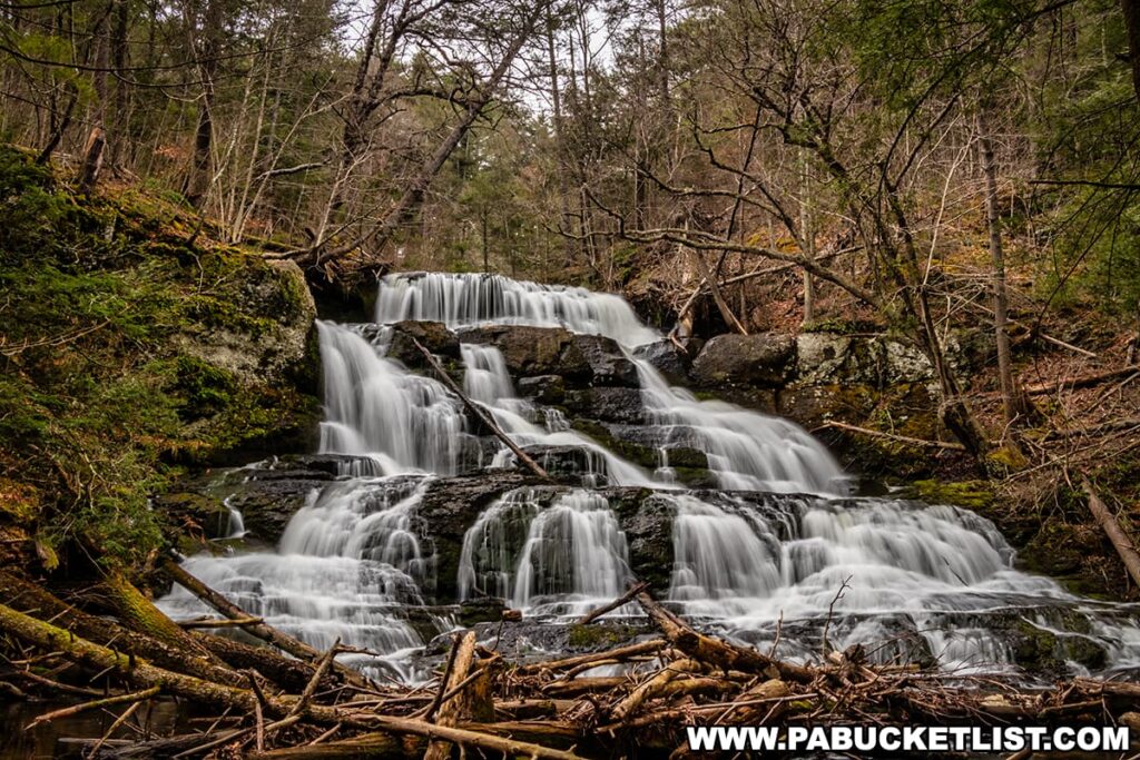 A breathtaking view of Upper Indian Ladders Falls in Pike County, Pennsylvania, with water flowing gracefully over a series of rocky steps. The waterfall is surrounded by a dense forest with a mix of green foliage and bare branches, creating a natural and serene atmosphere. Fallen logs and branches are scattered around the base of the falls, enhancing the rugged and untouched beauty of the scene. The peaceful ambiance of the waterfall along Upper Hornbecks Creek is beautifully captured in this image.