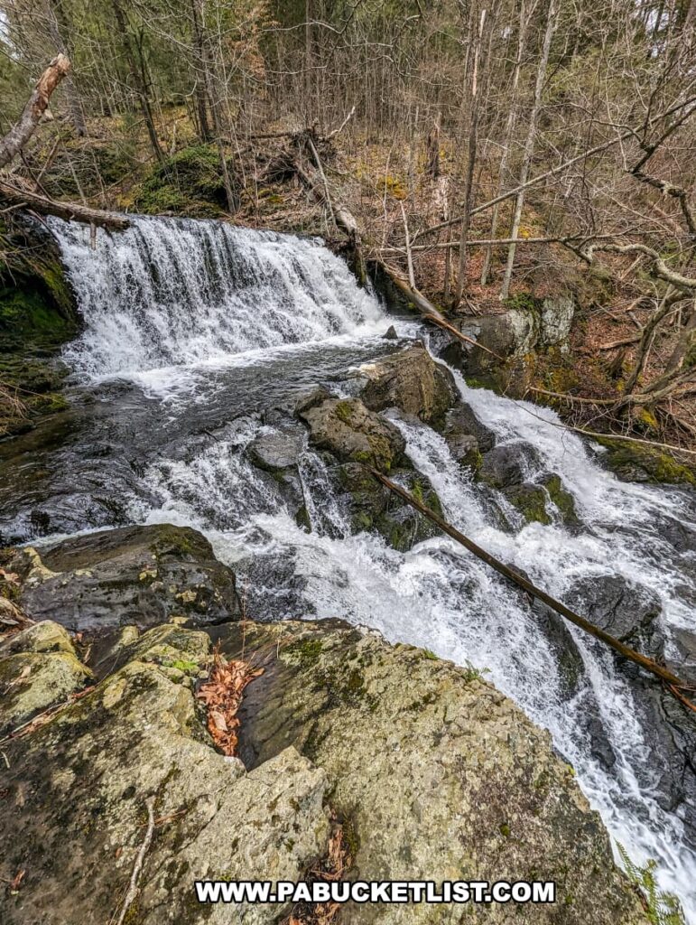 A close-up side view of Upper Indian Ladders Falls in Pike County, Pennsylvania, showing water cascading over a rocky ledge. The waterfall is surrounded by a dense forest with a mix of bare branches and green foliage. Moss-covered rocks and fallen branches add to the rugged, natural beauty of the scene. The image captures the dynamic flow of water and the serene ambiance of the waterfall along Upper Hornbecks Creek.