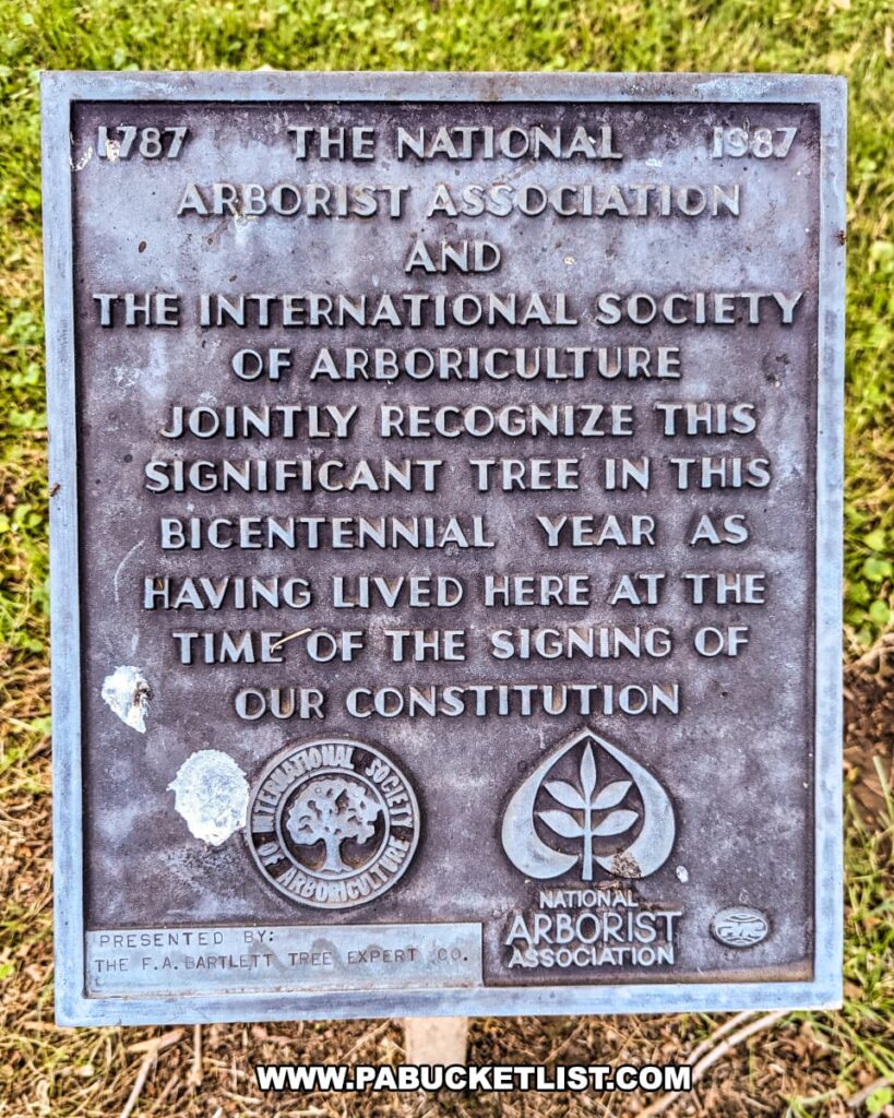 A bronze plaque at Brandywine Battlefield Park in Chester County, Pennsylvania, commemorates a significant tree that lived at the time of the signing of the U.S. Constitution in 1787. The plaque, jointly presented by the National Arborist Association and the International Society of Arboriculture in 1987, marks the tree's bicentennial year. The text acknowledges the tree's historical importance, and the plaque features the logos of the presenting organizations. The plaque is situated on a grassy area.