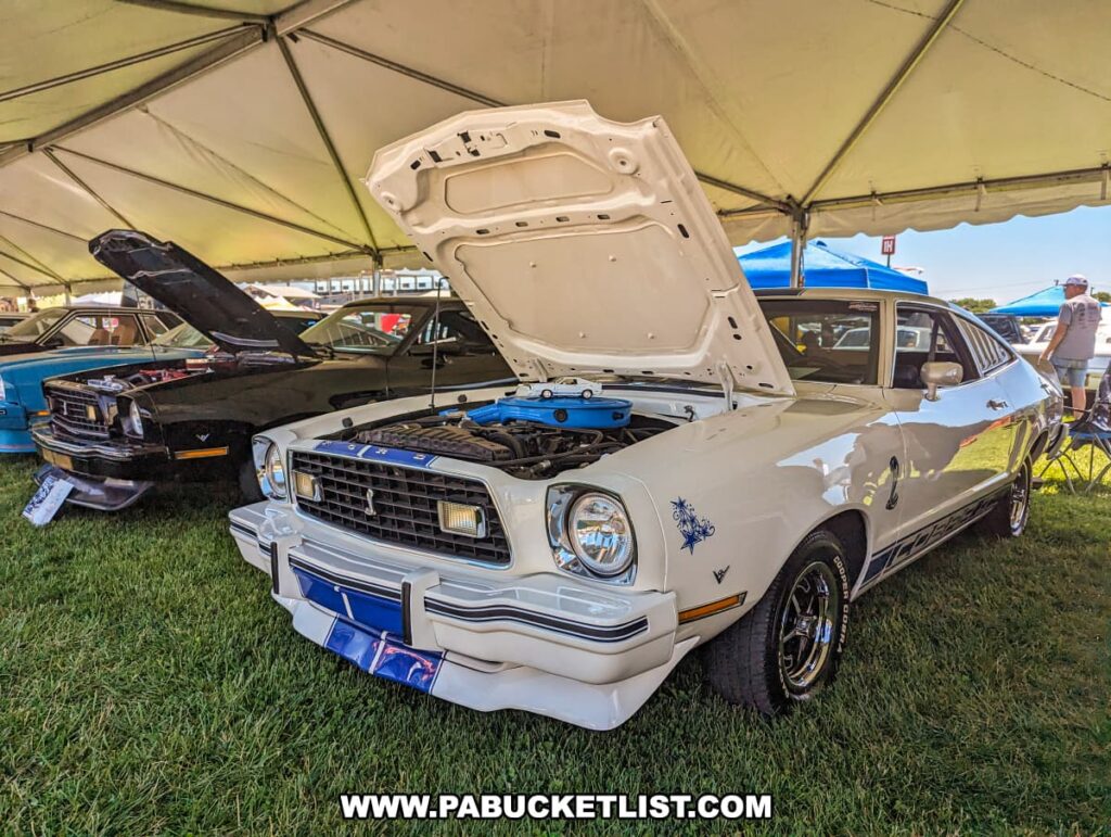 White Ford Mustang II with its hood open, showcasing the engine, displayed under a large tent at the Carlisle Events Ford Nationals car show. Nearby, a black Mustang and other classic cars are also on display. The tent provides shade for the vehicles and attendees, with additional people and cars visible in the background on a sunny day. The setup highlights the range of classic Mustangs featured at the event.