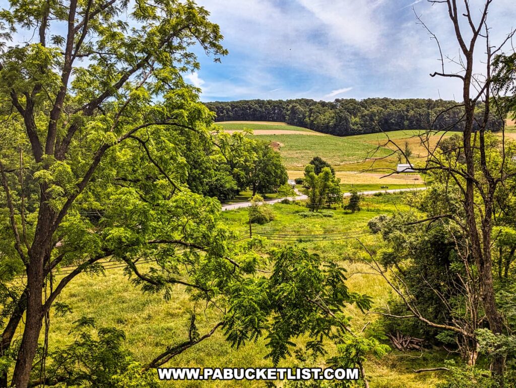 A stunning view of the Southern York County countryside as seen from the Northern Central Railway of York. The landscape is characterized by rolling green hills, lush farmland, and dense trees framing the scene. A winding road and a distant barn are visible, highlighting the rural charm and tranquility of the area. The vibrant greenery and expansive fields provide a picturesque backdrop, capturing the essence of the scenic journey offered by the historic railway.