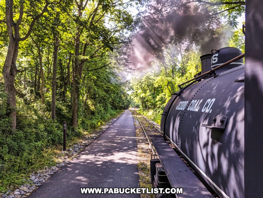 View from the Northern Central Railway of York locomotive, showing the side of the train with the Jeddo Coal Co. logo. The tracks run parallel to a paved rail trail, both surrounded by dense trees and lush greenery, with smoke billowing from the locomotive's stack into the forest canopy.