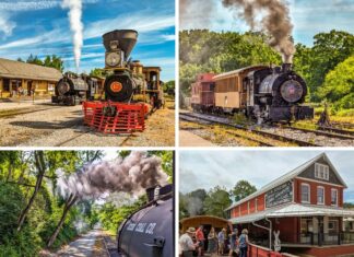 Collage of four photos taken at the Northern Central Railway of York. Top left: Two steam locomotives, Number 17 and Number 85, are on display in front of the New Freedom Station, with steam billowing into the blue sky. Top right: Number 85 steam locomotive pulls a yellow passenger car and red caboose along the tracks, surrounded by green trees. Bottom left: View from the locomotive showing the train tracks and the adjacent trail, with smoke trailing behind. Bottom right: People standing on the gondola car platform near the E.K. Krebs building, a historic red and white building, as they enjoy the scenic ride.